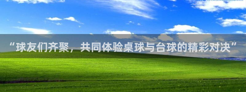 “球友们齐聚，共同体验桌球与台球的精彩对决”