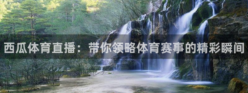 西瓜体育直播：带你领略体育赛事的精彩瞬间