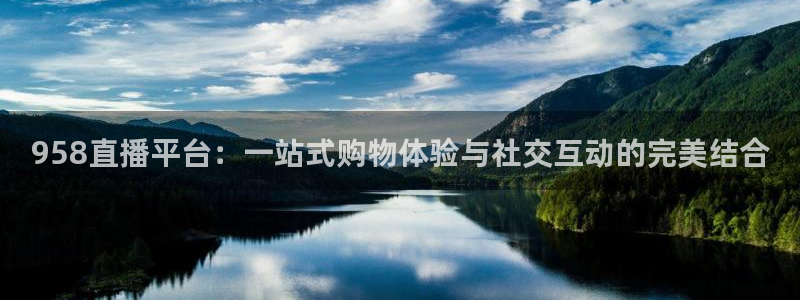 958直播平台：一站式购物体验与社交互动的完美结合