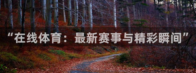 “在线体育：最新赛事与精彩瞬间”