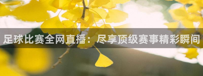 足球比赛全网直播：尽享顶级赛事精彩瞬间