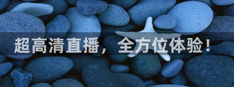 超高清直播，全方位体验！