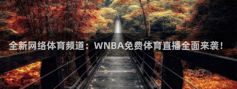 全新网络体育频道：WNBA免费体育直播全面来袭！