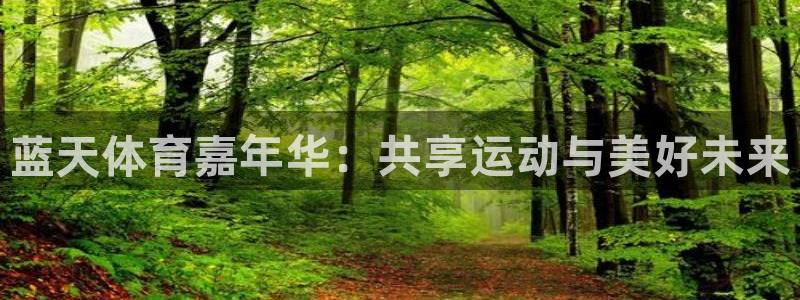 蓝天体育嘉年华：共享运动与美好未来