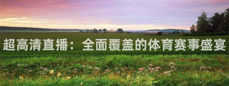 超高清直播：全面覆盖的体育赛事盛宴