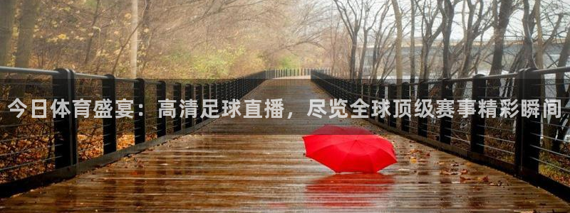 今日体育盛宴：高清足球直播，尽览全球顶级赛事精彩瞬间