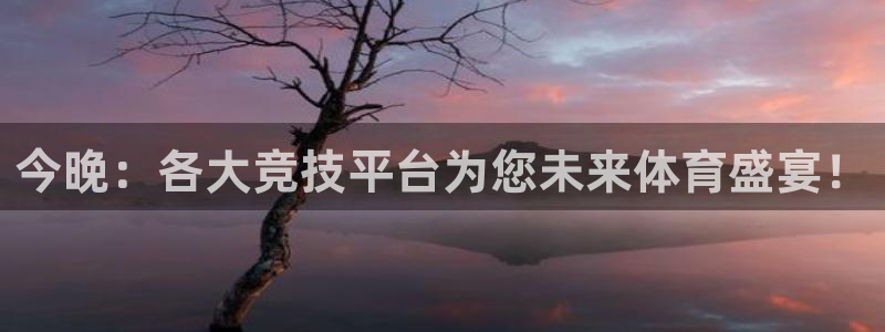 今晚：各大竞技平台为您未来体育盛宴！