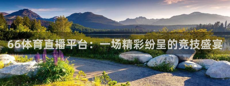 66体育直播平台：一场精彩纷呈的竞技盛宴