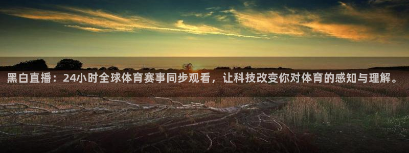 黑白直播：24小时全球体育赛事同步观看，让科技改变你对体育的感知与理解。