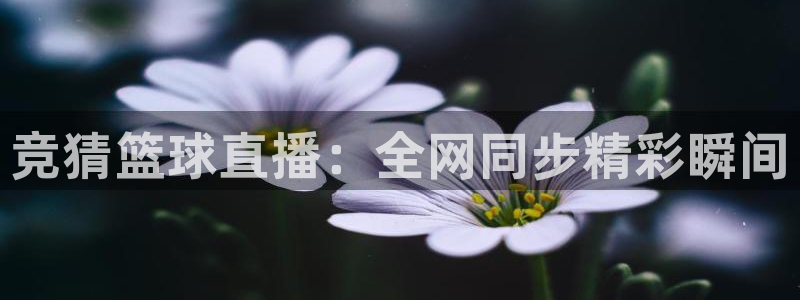 竞猜篮球直播：全网同步精彩瞬间
