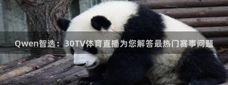 Qwen智选：30TV体育直播为您解答最热门赛事问题