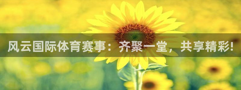 风云国际体育赛事：齐聚一堂，共享精彩!