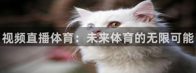视频直播体育：未来体育的无限可能