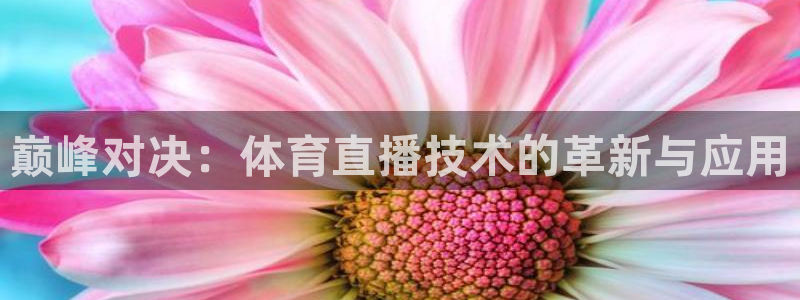 巅峰对决：体育直播技术的革新与应用