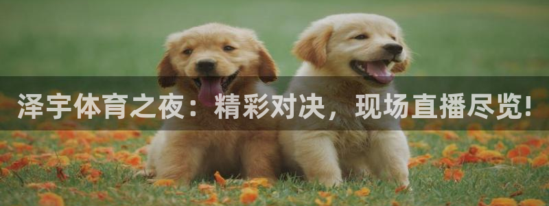 泽宇体育之夜：精彩对决，现场直播尽览!