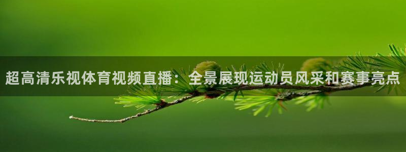 超高清乐视体育视频直播：全景展现运动员风采和赛事亮点