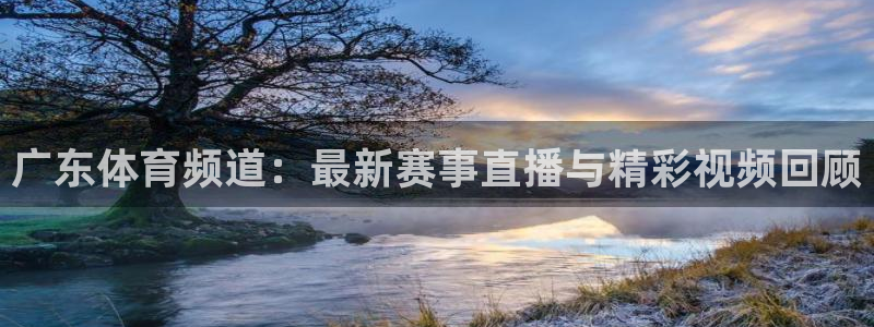 广东体育频道：最新赛事直播与精彩视频回顾