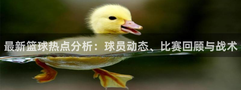 最新篮球热点分析：球员动态、比赛回顾与战术