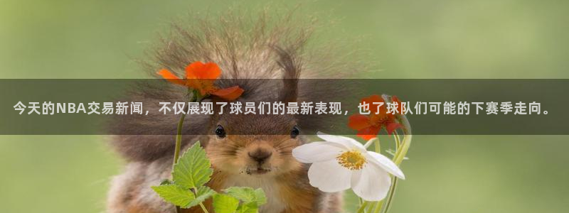 今天的NBA交易新闻，不仅展现了球员们的最新表现，也了球队们可能的下赛季走向。