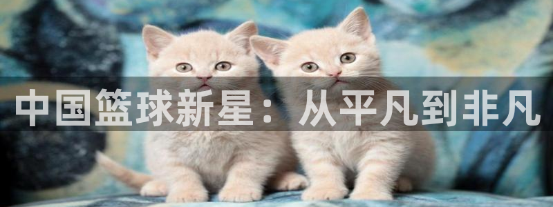 中国篮球新星：从平凡到非凡