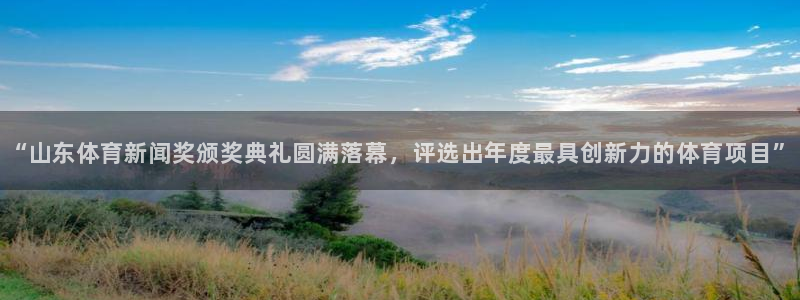 “山东体育新闻奖颁奖典礼圆满落幕，评选出年度最具创新力的体育项目”