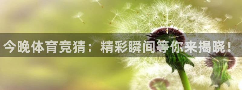 今晚体育竞猜：精彩瞬间等你来揭晓！