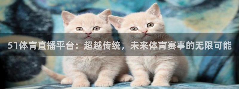 51体育直播平台：超越传统，未来体育赛事的无限可能