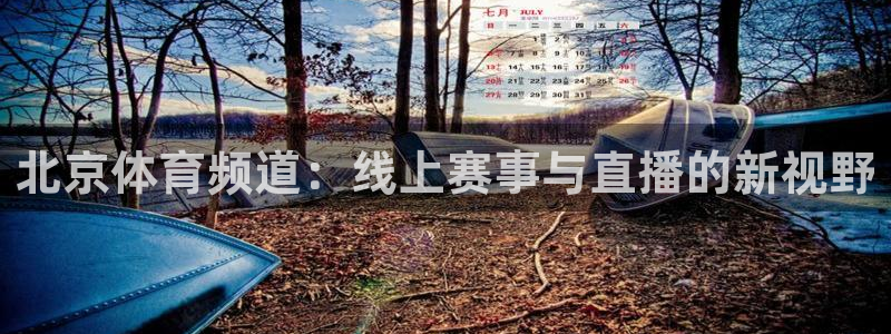 北京体育频道：线上赛事与直播的新视野