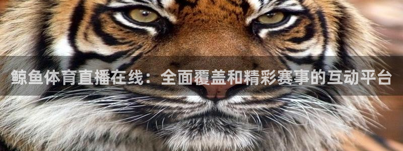 鲸鱼体育直播在线：全面覆盖和精彩赛事的互动平台