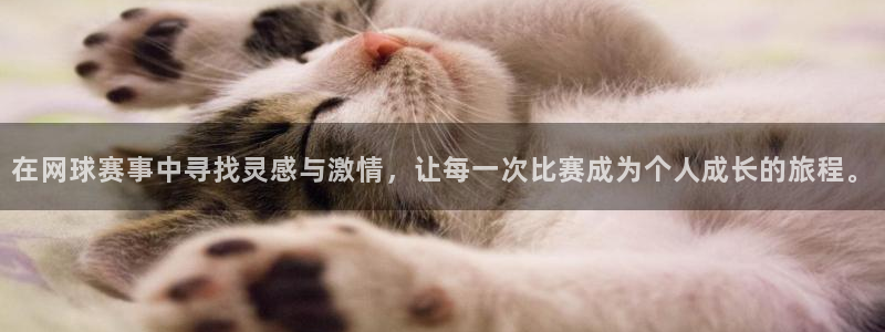 在网球赛事中寻找灵感与激情，让每一次比赛成为个人成长的旅程。