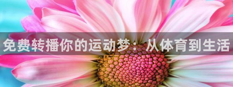 免费转播你的运动梦：从体育到生活