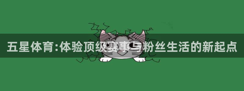 五星体育:体验顶级赛事与粉丝生活的新起点