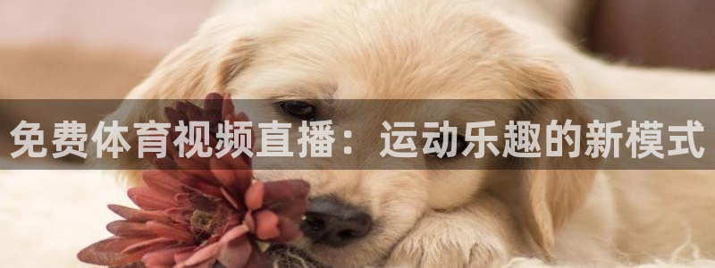 免费体育视频直播：运动乐趣的新模式