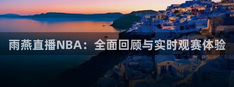 雨燕直播NBA：全面回顾与实时观赛体验