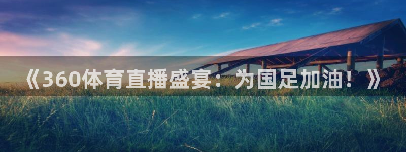 《360体育直播盛宴：为国足加油！》