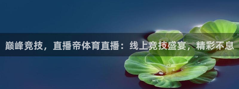 巅峰竞技，直播帝体育直播：线上竞技盛宴，精彩不息