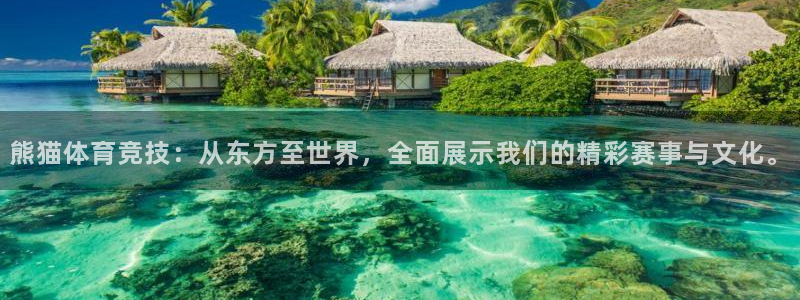 熊猫体育竞技：从东方至世界，全面展示我们的精彩赛事与文化。
