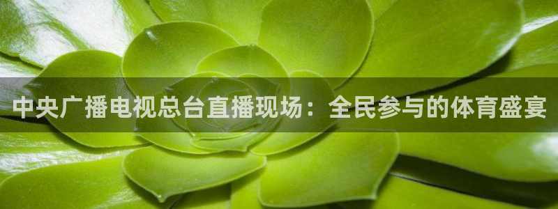 中央广播电视总台直播现场：全民参与的体育盛宴