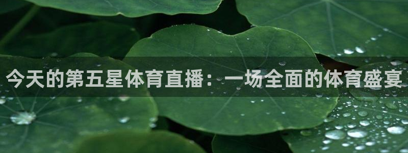 今天的第五星体育直播：一场全面的体育盛宴