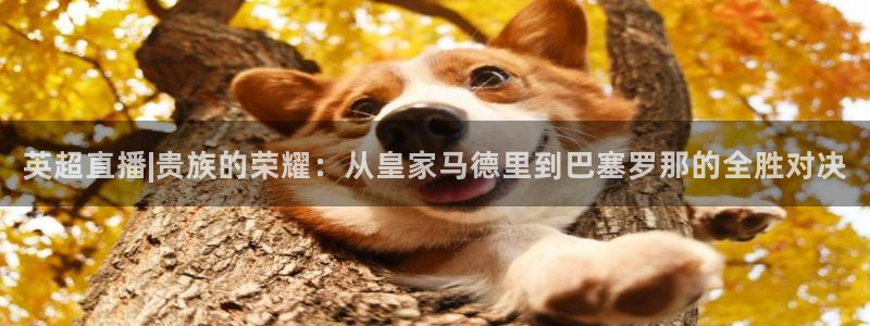 英超直播|贵族的荣耀：从皇家马德里到巴塞罗那的全胜对决
