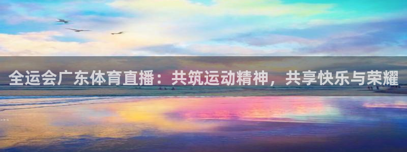 全运会广东体育直播：共筑运动精神，共享快乐与荣耀
