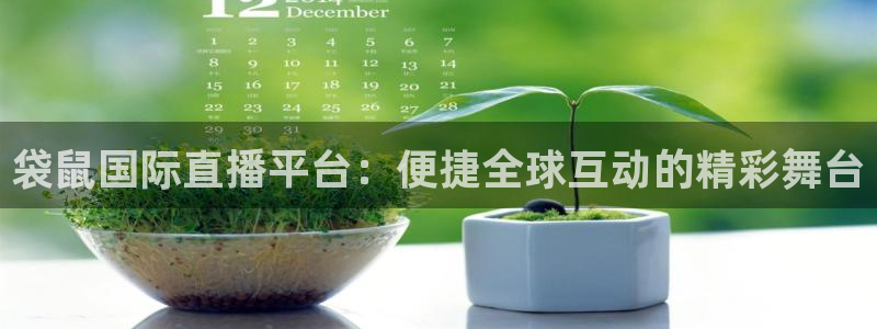 袋鼠国际直播平台：便捷全球互动的精彩舞台