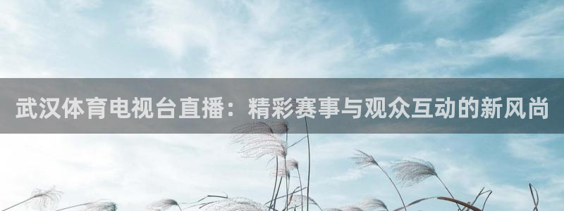 武汉体育电视台直播：精彩赛事与观众互动的新风尚