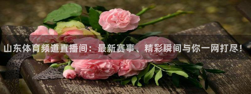 山东体育频道直播间：最新赛事、精彩瞬间与你一网打尽！