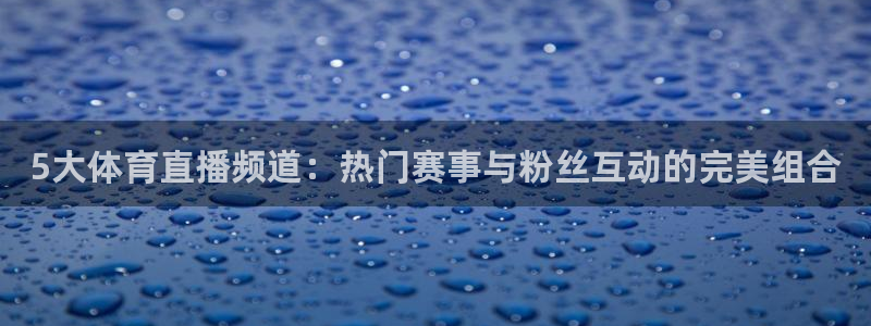 5大体育直播频道：热门赛事与粉丝互动的完美组合