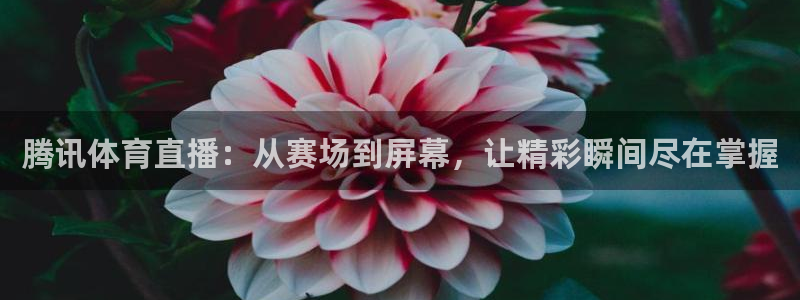 腾讯体育直播：从赛场到屏幕，让精彩瞬间尽在掌握