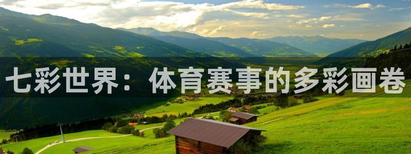 七彩世界：体育赛事的多彩画卷