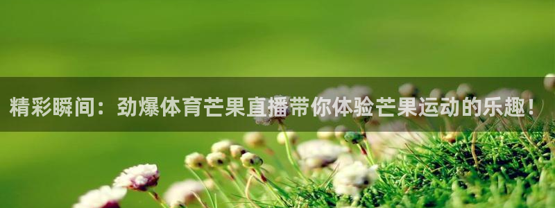 精彩瞬间：劲爆体育芒果直播带你体验芒果运动的乐趣！