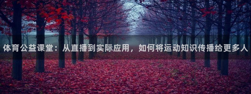 体育公益课堂：从直播到实际应用，如何将运动知识传播给更多人