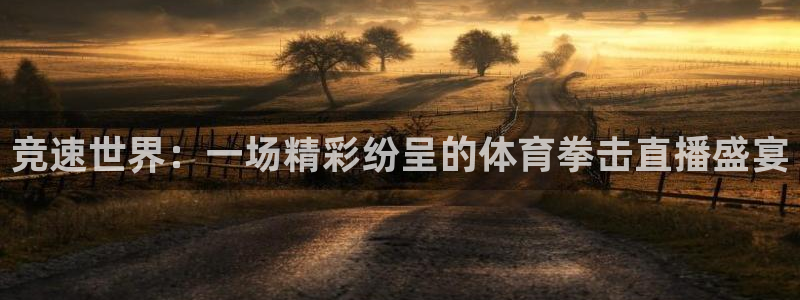 竞速世界：一场精彩纷呈的体育拳击直播盛宴
